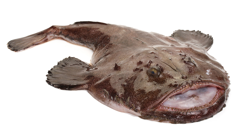 凍品海鮮大圖20安康魚.jpg